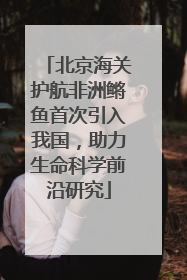 北京海关护航非洲鳉鱼首次引入我国，助力生命科学前沿研究
