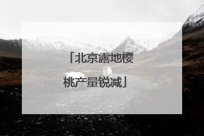 北京露地樱桃产量锐减
