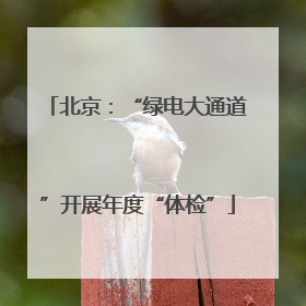 北京：“绿电大通道”开展年度“体检”