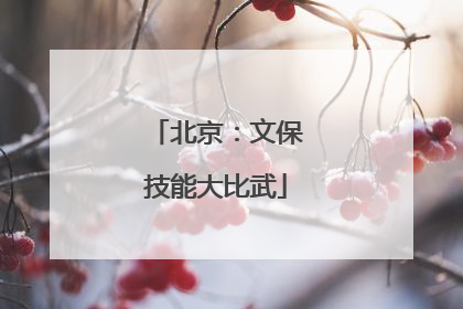 北京：文保技能大比武
