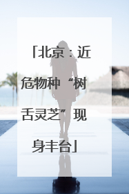 北京：近危物种“树舌灵芝”现身丰台