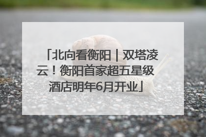 北向看衡阳｜双塔凌云！衡阳首家超五星级酒店明年6月开业