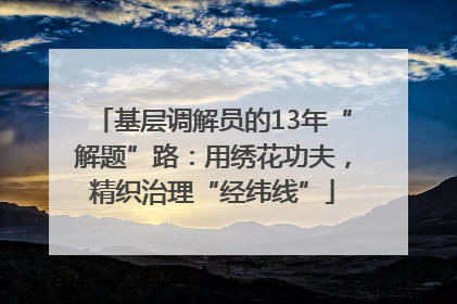 基层调解员的13年“解题”路：用绣花功夫，精织治理“经纬线”