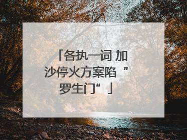 各执一词 加沙停火方案陷“罗生门”