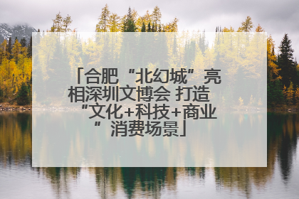 合肥“北幻城”亮相深圳文博会 打造“文化+科技+商业”消费场景