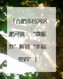 合肥市包河区淝河镇：“微服务”解锁“幸福密码”
