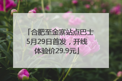 合肥至金寨站点巴士5月29日首发，开线体验价29.9元