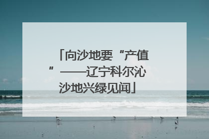 向沙地要“产值”——辽宁科尔沁沙地兴绿见闻