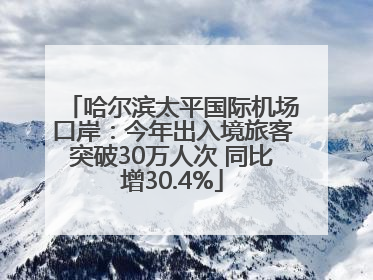 哈尔滨太平国际机场口岸：今年出入境旅客突破30万人次 同比增30.4%