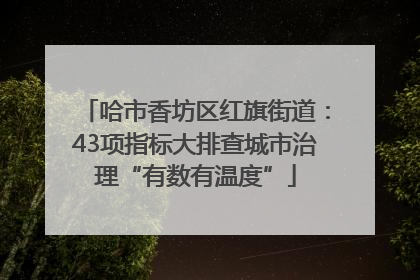哈市香坊区红旗街道：43项指标大排查城市治理“有数有温度”