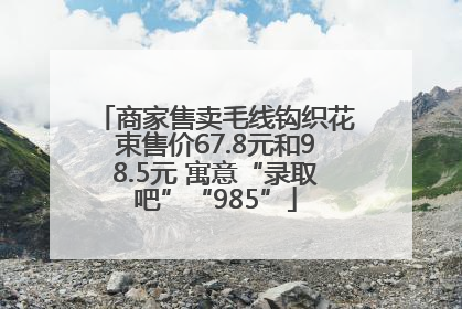 商家售卖毛线钩织花束售价67.8元和98.5元 寓意“录取吧”“985”