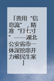 善用“信息流”，精准“打七寸”——湖北公安省市一体深挖串并力破民生案