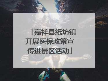 嘉祥县纸坊镇开展医保政策宣传进景区活动
