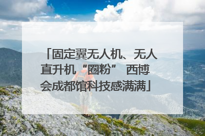 固定翼无人机、无人直升机“圈粉” 西博会成都馆科技感满满