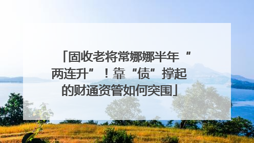 固收老将常娜娜半年“两连升”！靠“债”撑起的财通资管如何突围