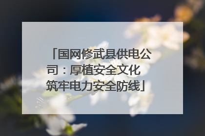 国网修武县供电公司：厚植安全文化 筑牢电力安全防线