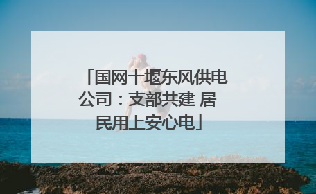国网十堰东风供电公司：支部共建 居民用上安心电