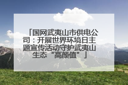 国网武夷山市供电公司：开展世界环境日主题宣传活动守护武夷山生态“高颜值”
