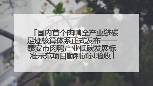 国内首个肉鸭全产业链碳足迹核算体系正式发布——泰安市肉鸭产业低碳发展标准示范项目顺利通过验收