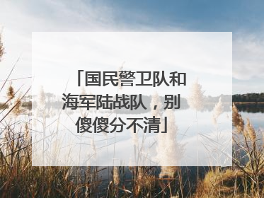 国民警卫队和海军陆战队，别傻傻分不清
