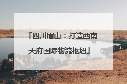 四川眉山：打造西南天府国际物流枢纽