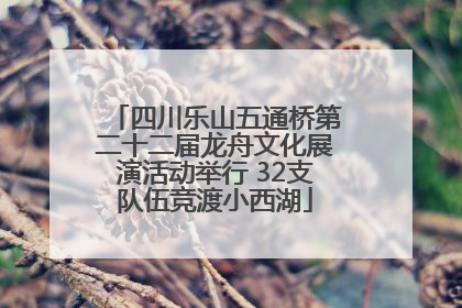 四川乐山五通桥第二十二届龙舟文化展演活动举行 32支队伍竞渡小西湖