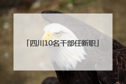 四川10名干部任新职