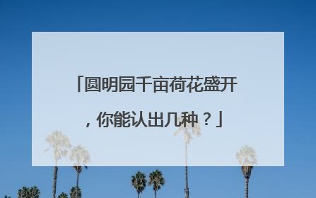 圆明园千亩荷花盛开，你能认出几种？