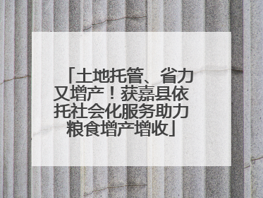 土地托管、省力又增产！获嘉县依托社会化服务助力粮食增产增收