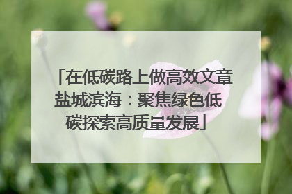 在低碳路上做高效文章 盐城滨海：聚焦绿色低碳探索高质量发展