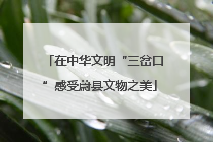 在中华文明“三岔口”感受蔚县文物之美