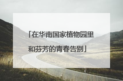 在华南国家植物园里和芬芳的青春告别