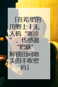 在希望的田野上丨无人机“巡诊”、传感器“把脉” 解锁田间地头的丰收密码