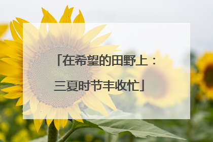 在希望的田野上：三夏时节丰收忙