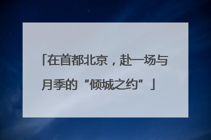 在首都北京，赴一场与月季的“倾城之约”