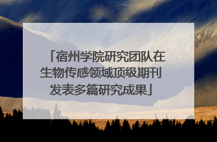 宿州学院研究团队在生物传感领域顶级期刊发表多篇研究成果