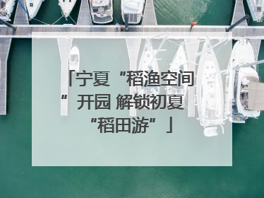 宁夏“稻渔空间”开园 解锁初夏“稻田游”