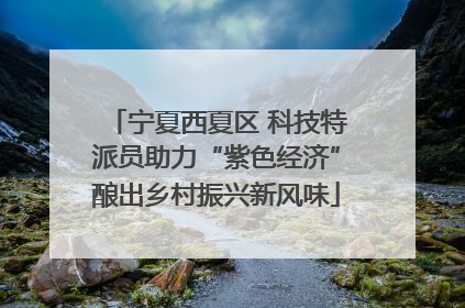 宁夏西夏区 科技特派员助力“紫色经济”酿出乡村振兴新风味