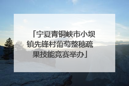 宁夏青铜峡市小坝镇先锋村葡萄整穗疏果技能竞赛举办