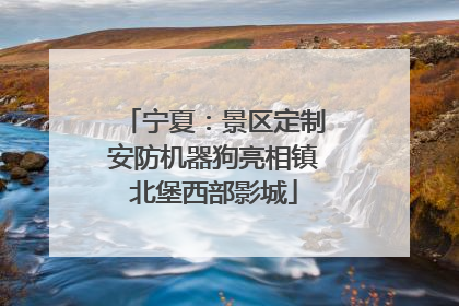 宁夏：景区定制安防机器狗亮相镇北堡西部影城