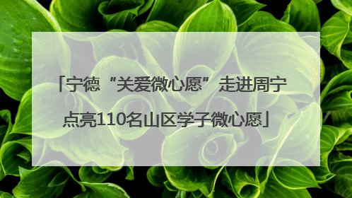 宁德“关爱微心愿”走进周宁 点亮110名山区学子微心愿