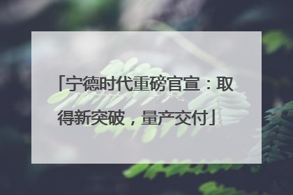 宁德时代重磅官宣：取得新突破，量产交付