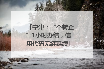 宁津：“个转企”1小时办结，信用代码无缝延续
