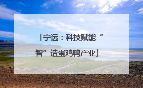 宁远：科技赋能“智”造蛋鸡鸭产业