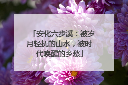 安化六步溪：被岁月轻抚的山水，被时代唤醒的乡愁
