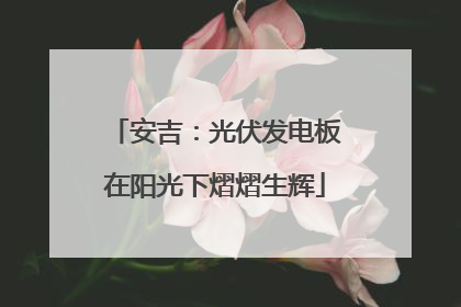 安吉：光伏发电板在阳光下熠熠生辉