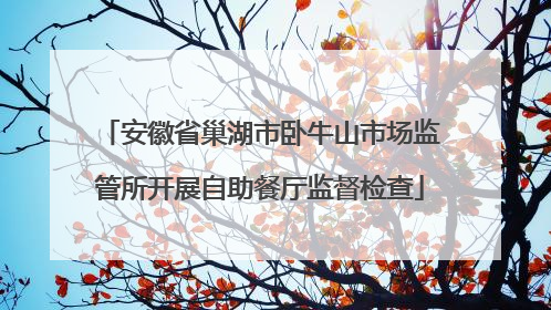安徽省巢湖市卧牛山市场监管所开展自助餐厅监督检查
