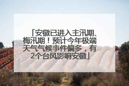 安徽已进入主汛期、梅汛期！预计今年极端天气气候事件偏多，有2个台风影响安徽