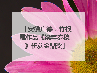安徽广德：竹根雕作品《梁丰岁稔》斩获金鼎奖