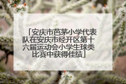 安庆市芭茅小学代表队在安庆市经开区第十六届运动会小学生球类比赛中获得佳绩